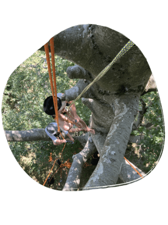 Garçon qui monte dans un arbre